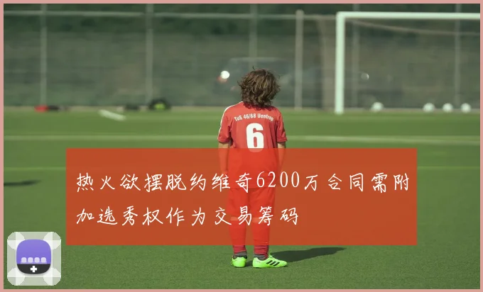 热火欲摆脱约维奇6200万合同需附加选秀权作为交易筹码